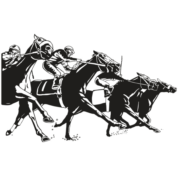 AR EQUEST 13 RC Thumbnail