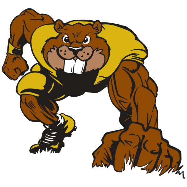 AR14 BEAVER FBLL 03 RQC Thumbnail