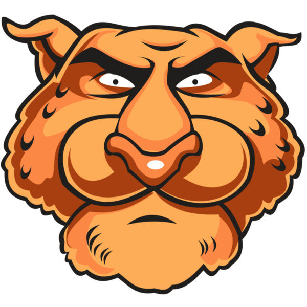 CHEETAH HD0501 RQC Thumbnail