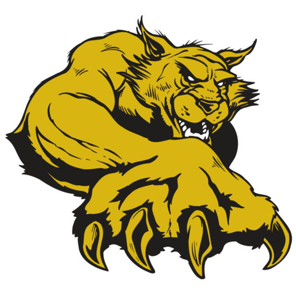 AR WILDCAT 26 RC Thumbnail