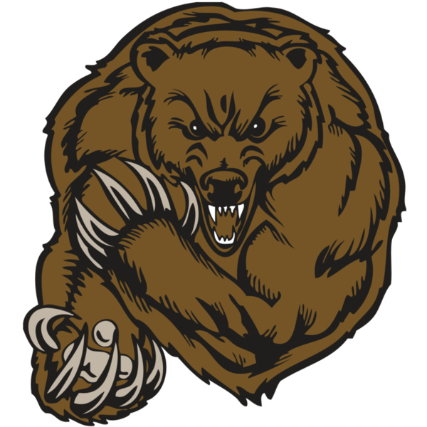 BAW BEAR 07 RC Thumbnail