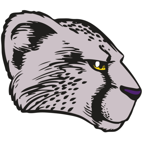 BAW CHEETAH 20 RC Thumbnail