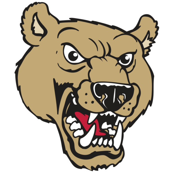 AR BEAR 09 RC Thumbnail