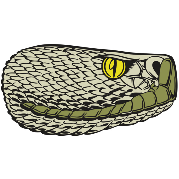 BAW SNAKE 03 RC Thumbnail