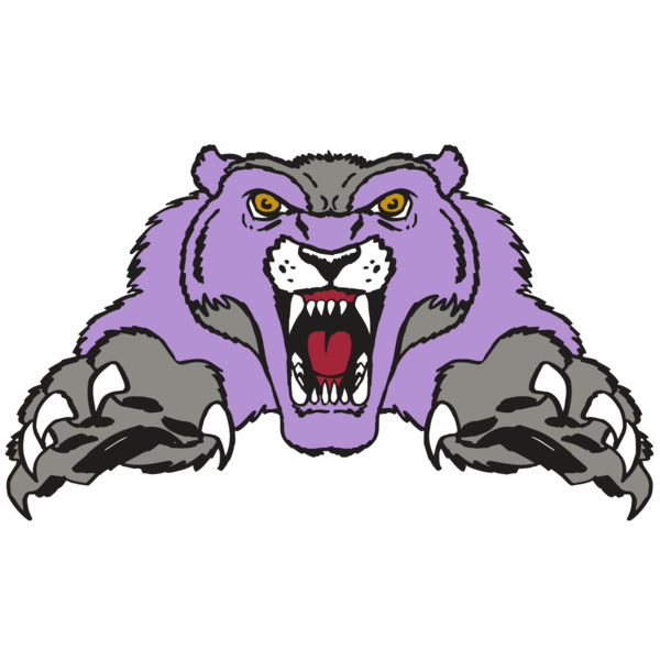 AR WOLVERINE 17 RC Thumbnail