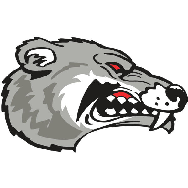 AR WOLVERINE 13 RC Thumbnail