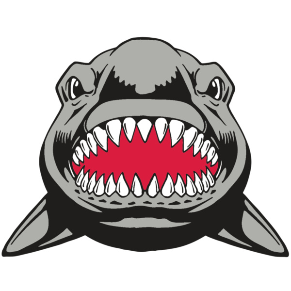 AR  SHARK 25 RC Thumbnail