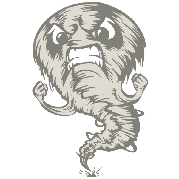 BAW STORM 07 RC Thumbnail