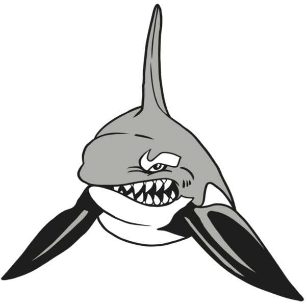 AR19 ORCA 03 RQC Thumbnail