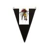 Canvas Pennant Flag Thumbnail