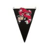 Canvas Pennant Flag Thumbnail