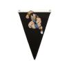 Canvas Pennant Flag Thumbnail