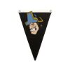 Canvas Pennant Flag Thumbnail