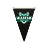 Canvas Pennant Flag Thumbnail