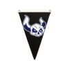 Canvas Pennant Flag Thumbnail