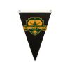 Canvas Pennant Flag Thumbnail